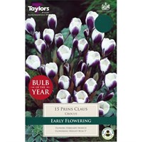 Taylors Bulbs Crocus Prins Claus - Pack of 10 (TP673)