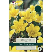 Taylors Bulbs Crocus Romance - Pack of 15 (TP669)