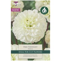 Taylors Bulbs Dahlia Free Thought (Single Pack) (TS309)