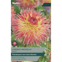 Taylors Bulbs Dahlia Lindsay Michelle (Single Pack) (TS417)