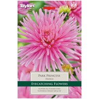 Taylors Bulbs Dahlia Park Princess (Single Pack) (TS332)