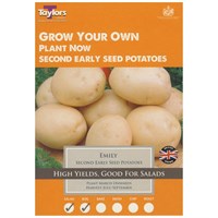 Taylors Bulbs Emily Seed Potatoes (10 Pack) (VP441)