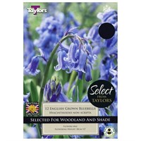 Taylors Bulbs English Grown Bluebells - Pack of 7 (SE775C)
