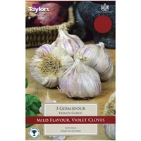 Taylors Bulbs French Garlic Germidour - Pack of 2 (AVEG9B)