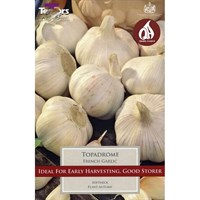 Taylors Bulbs French Garlic Topadrome - Pack of 2 (AVEG9J)