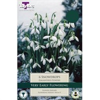 Taylors Bulbs Galanthus Snowdrops Elwesii - Pack of 7 (TP765)