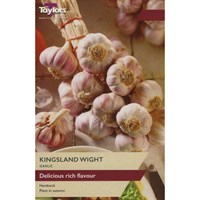 Taylors Bulbs Garlic Kingsland Wight - Pack of 1 (AVEG18A)