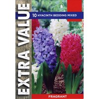 Taylors Bulbs Hyacinth Bedding Mixed - Pack of 7 - Extra Value Range (EV127)