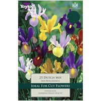 Taylors Bulbs Iris Dutch Mixed - Pack of 25 (TP787)