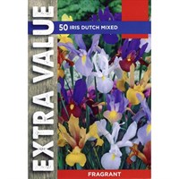 Taylors Bulbs Iris Dutch Mixed - Pack of 50 - Extra Value Range (EV136)