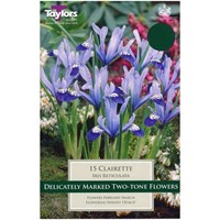 Taylors Bulbs Iris Dwarf Clairette - Pack of 12 (TP1048)