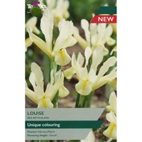 Taylors Bulbs Iris Reticulata Louise - Pack of 9 (TP793)