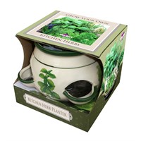 Taylors Bulbs Kitchen Herb Pot (ADP94)