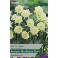 Taylors Bulbs Narcissus Arctic Bells - Pack of 7 (TP279)