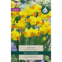 Taylors Bulbs Narcissus Bittern - Pack of 7 (TP204)