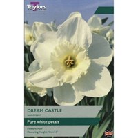 Taylors Bulbs Narcissus Dream Castle - Pack of 7 (TP112)