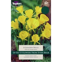 Taylors Bulbs Narcissi Golden Bells - Pack of 6 (TP212)
