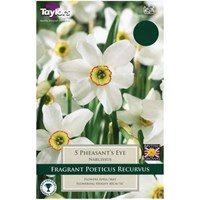 Taylors Bulbs Narcissi Pheasant's Eye - Pack of 5 (TP127)