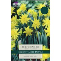 Taylors Bulbs Narcissi Rip Van Winkle - Pack of 7 (TP251)
