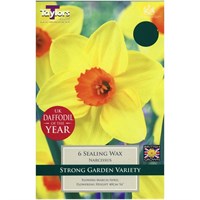 Taylors Bulbs Narcissi Sealing Wax - Pack of 7 (TP124)