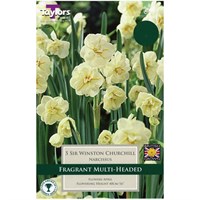 Taylors Bulbs Narcissi Sir Winston Churchill - Pack of 6 (TP133)