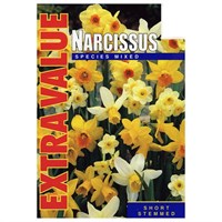 Taylors Bulbs Narcissi Species Mixed - Pack of 25 - Extra Value Range (EV105)