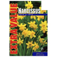 Taylors Bulbs Narcissi Tete A Tete - Pack of 25 - Extra Value Range (EV103)