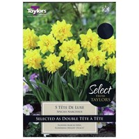 Taylors Bulbs Narcissi Tete De Luxe - Pack of 12 (SE1148)