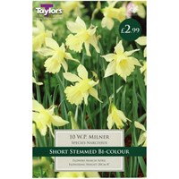 Taylors Bulbs Narcissi W.P. Milner - Pack of 9 (TP267)
