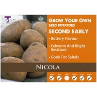 Taylors Bulbs Seed Potatoes Nicola (2kg Pack) (VAC460)