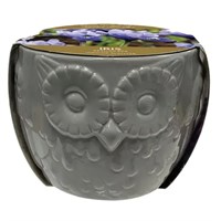 Taylors Bulbs Novelty Owl Planter Iris Bulbs (AH97)