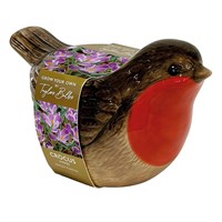 Taylors Bulbs Novelty Robin Planter with Crocus Bulbs (AH91)