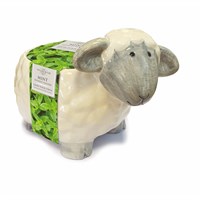 Taylors Bulbs Novelty Sheep Planter (SH34)
