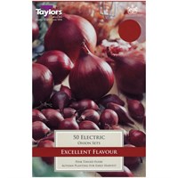 Taylors Bulbs Onion Electric - Pack of 50 (VP108)
