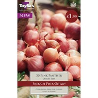 Taylors Bulbs Onion Pink Panther (50 Pack) (VP268)