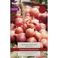 Taylors Bulbs Onion Pink Panther (50 Pack) (VP268)