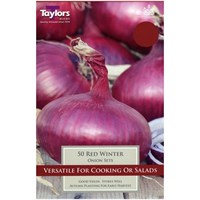 Taylors Bulbs Onion Red Winter - Pack of 50 (VP110)