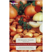 Taylors Bulbs Onion Senshyu Yellow - Pack of 50 (VP100)