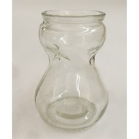 Taylors Bulbs Plain Glass Hyacinth Carafe - Single (GLS1)