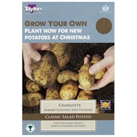 Taylors Bulbs Potato Charlotte - 10 Pack (VP601)