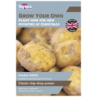 Taylors Bulbs Potato Maris Piper - 10 Pack (VP607)