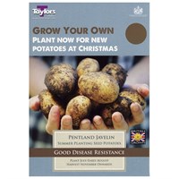 Taylors Bulbs Potato Pentland Javelin - 10 Pack (VP603)