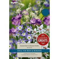Taylors Bulbs Scented Collection (50 Pack) (SV305)
