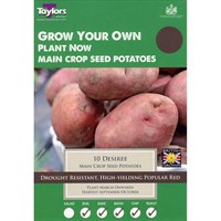 Taylors Bulbs Seed Potatoes Desiree (10 Pack) (VP474)