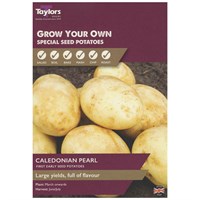 Taylors Bulbs Seed Potatoes Caledonian Pearl (8 Pack) (VP400)