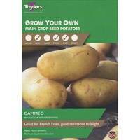 Taylors Bulbs Seed Potatoes Cammeo (10 Pack) (VP421)