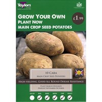 Taylors Bulbs Seed Potatoes Cara (10 Pack) (VP470)