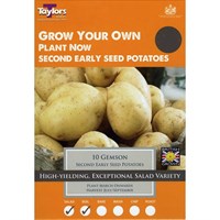 Taylors Bulbs Seed Potatoes Gemson (10 Pack) (VP446)