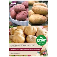 Taylors Bulbs Seed Potatoes June To October Harvest Collection (21 Pack) (SV018)