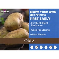 Taylors Bulbs Seed Potatoes Orla (2kg) (VAC416)